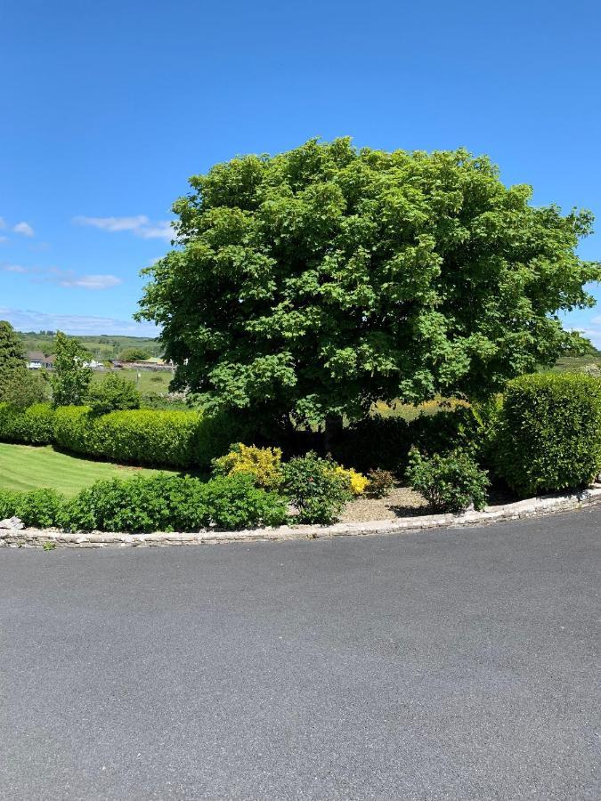 Kilcarragh House Hotell Kilfenora Exteriör bild